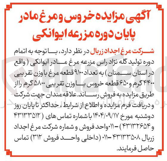 تصویر کوچک آگهی فروش تعداد ۹۱۰۰ قطعه مرغ با وزن تقریبی ۴۴۰۰ گرم و ۶۵۰ قطعه خروس با وزن تقریبی ۵۸۰۰ گرم