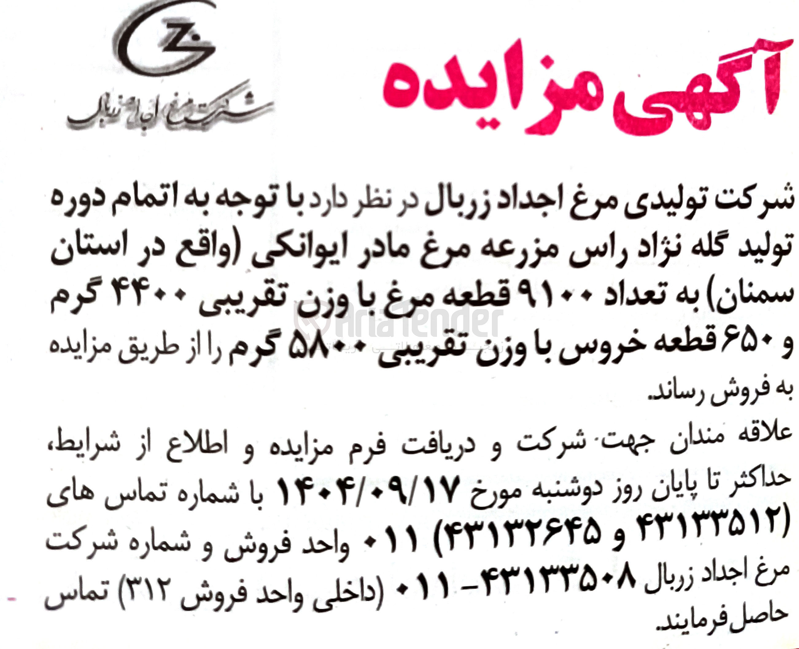 تصویر کوچک آگهی فروش تعداد ۹۱۰۰ قطعه مرغ با وزن تقریبی ۴۴۰۰ گرم و ۶۵۰ قطعه خروس با وزن تقریبی ۵۸۰۰ گرم 