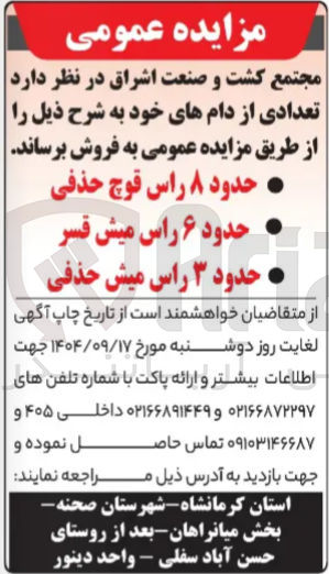 تصویر کوچک آگهی فروش تعدادی از دام ها