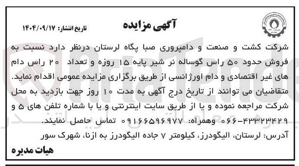تصویر کوچک آگهی فروش حدود ۵۰ راس گوساله نر شیر پایه ۱۵ روزه و تعداد ۲۰ راس دام های غیر اقتصادی و دام اورژانسی