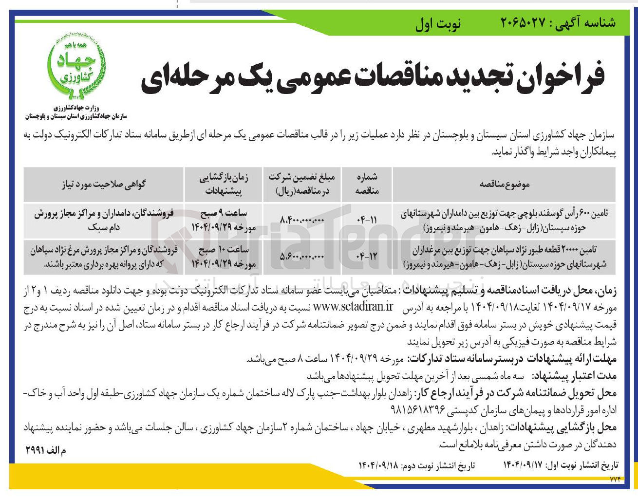 تصویر کوچک آگهی تامین ۶۰۰ رأس گوسفند بلوچی 