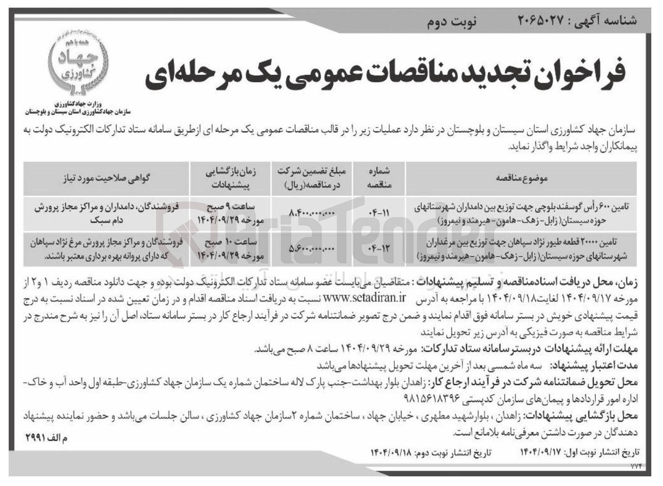 تصویر کوچک آگهی تامین ۶۰۰ راس گوسفند بلوچی