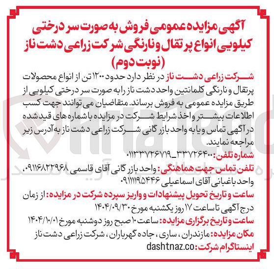 تصویر کوچک آگهی فروش به صورت سر درختی کیلویی انواع پرتقال و نارنگی