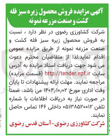 تصویر کوچک آگهی فروش محصول زیره سبز