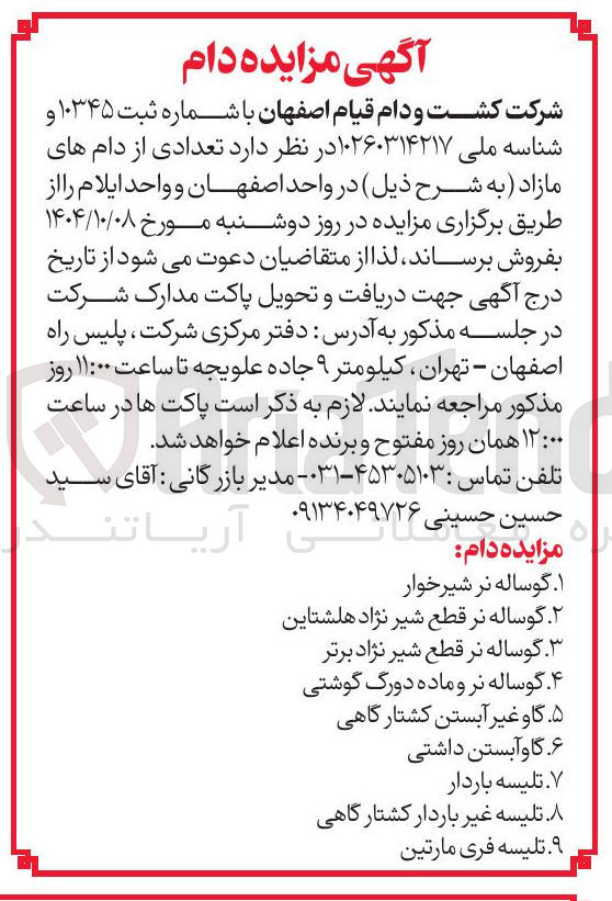 تصویر کوچک آگهی گوساله نر قطع شیر نژاد برتر 
