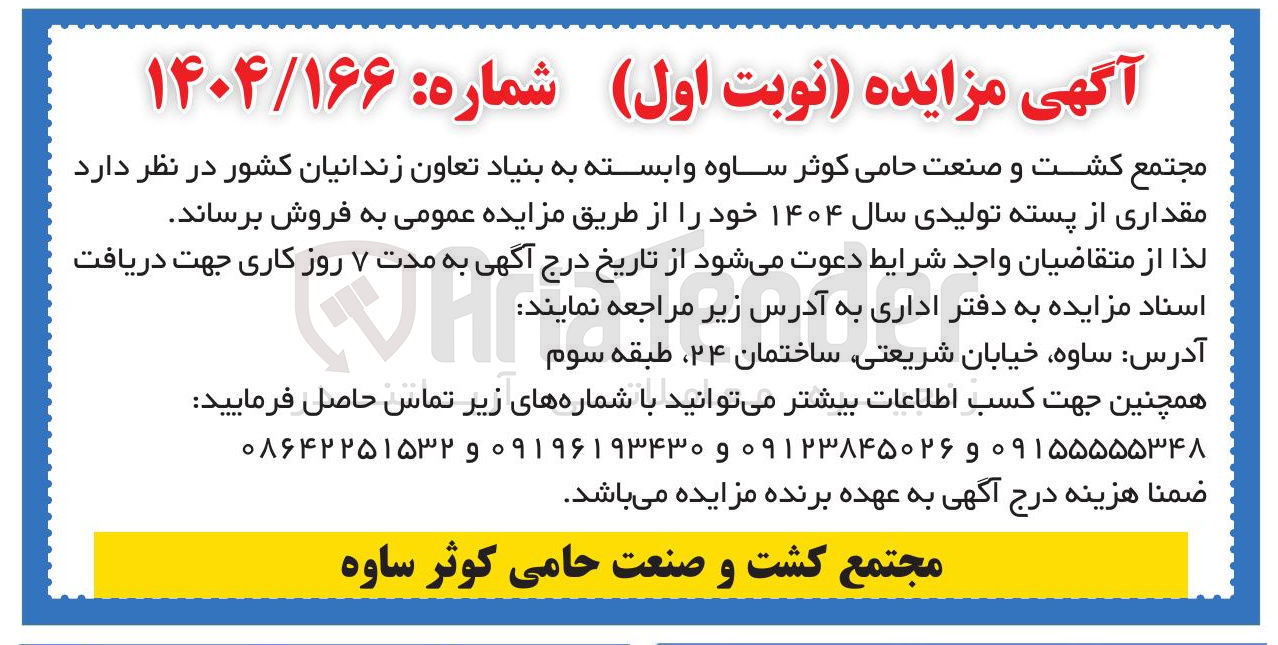 تصویر کوچک آگهی فروش مقداری از پسته تولیدی