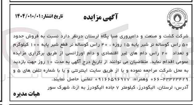 تصویر کوچک آگهی فروش حدود ۵۰ راس گوساله نر شیر پایه ۱۵ روزه ، ۴۰ راس گوساله نر قطع شیر پایه ۱۰۰ کیلوگرم و تعداد ۲۰ راس دامهای غیر اقتصادی و دام اورژانسی