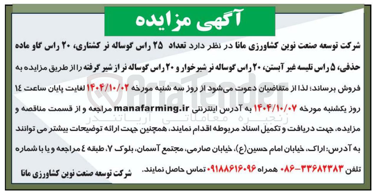 تصویر کوچک آگهی تعداد ۲۵ راس گوساله نر ، کشتاری ۲۰ راس گاو ماده حذفی ۵ راس تلیسه غیر آبستن ۲۰ راس گوساله نر شیرخوار و ۲۰ راس گوساله نر از شیر گرفته