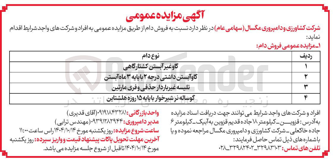 تصویر کوچک آگهی گاو غیر آبستن کشتارگاهی 
