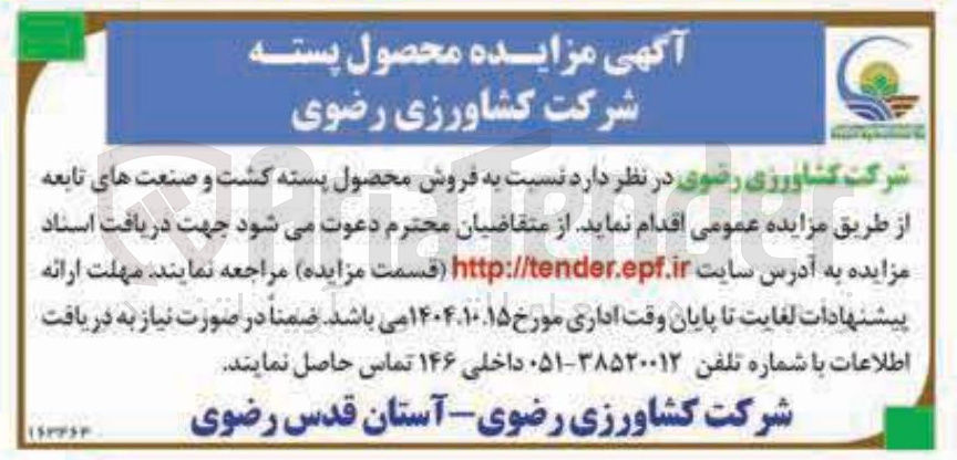تصویر کوچک آگهی فروش محصول پسته