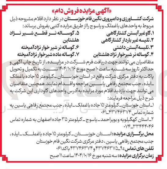 تصویر کوچک آگهی گوساله ماده شیرخوار نژاد آمیخته 
