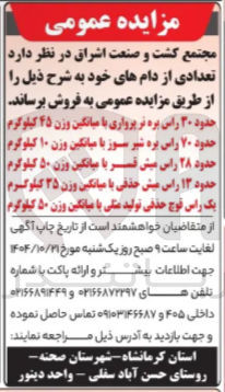 تصویر کوچک آگهی یک راس فوج حذفی تولید مثلی با میانگین وزن ۵۰ کیلوگرم 