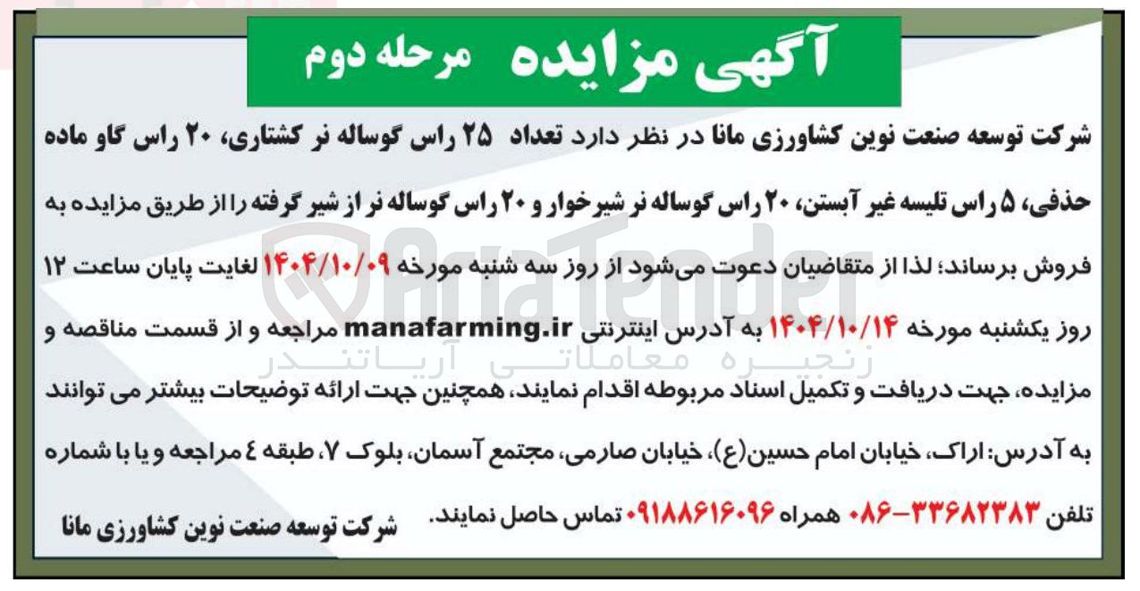 تصویر کوچک آگهی تعداد ۲۵ راس گوساله نر ، کشتاری ۲۰ راس گاو ماده حذفی ۵ راس تلیسه غیر آبستن ۲۰ راس گوساله نر شیرخوار و ۲۰ راس گوساله نر از شیر گرفته