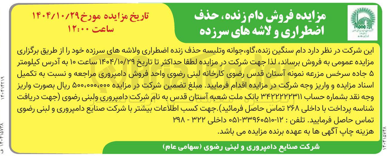 تصویر کوچک آگهی فروش دام سنگین زنده گاو جوانه و تلیسه حذف زنده اضطراری ولاشه های سرزده 