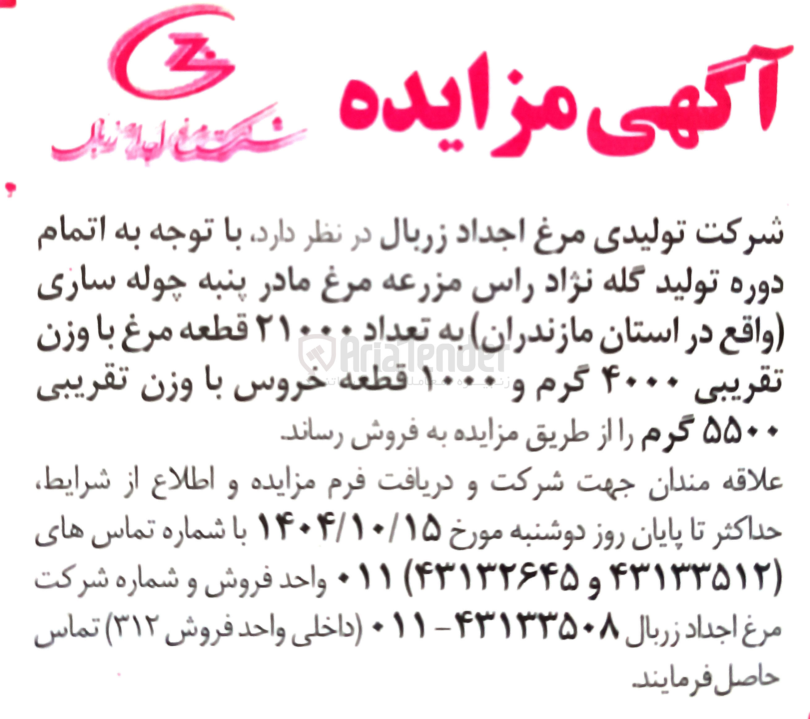 تصویر کوچک آگهی فروش تعداد ۲۱۰۰۰ قطعه مرغ با وزن تقریبی ۴۰۰۰ گرم و ۱۰۰۰ قطعه خروس با وزن تقریبی ۵۵۰۰ گرم