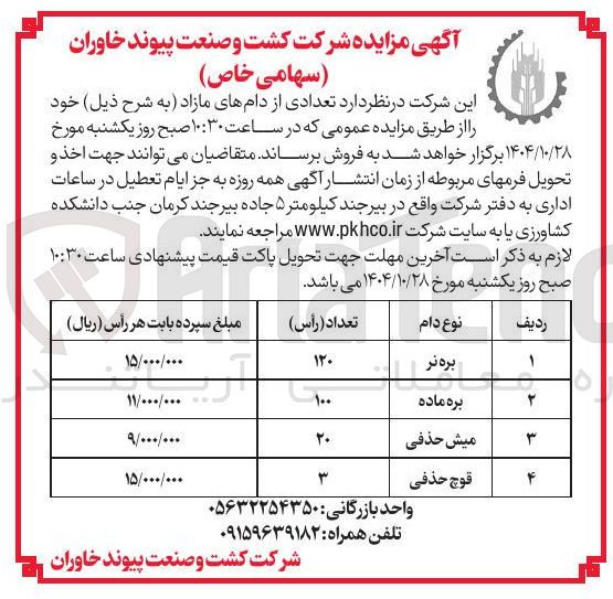 تصویر کوچک آگهی بره ماده 
