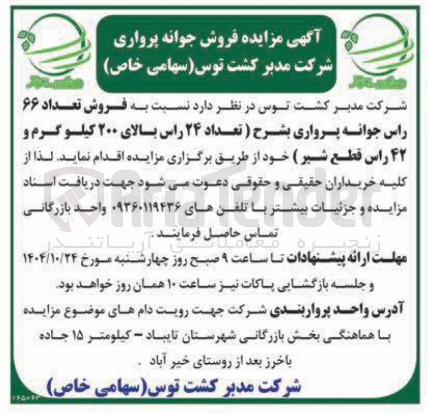تصویر کوچک آگهی فروش تعداد ۶۶ راس جوانه پرواری بشرح (تعداد ۲۴ راس بالای ۲۰۰ کیلو گرم و ۴۲ راس قطع شیر)