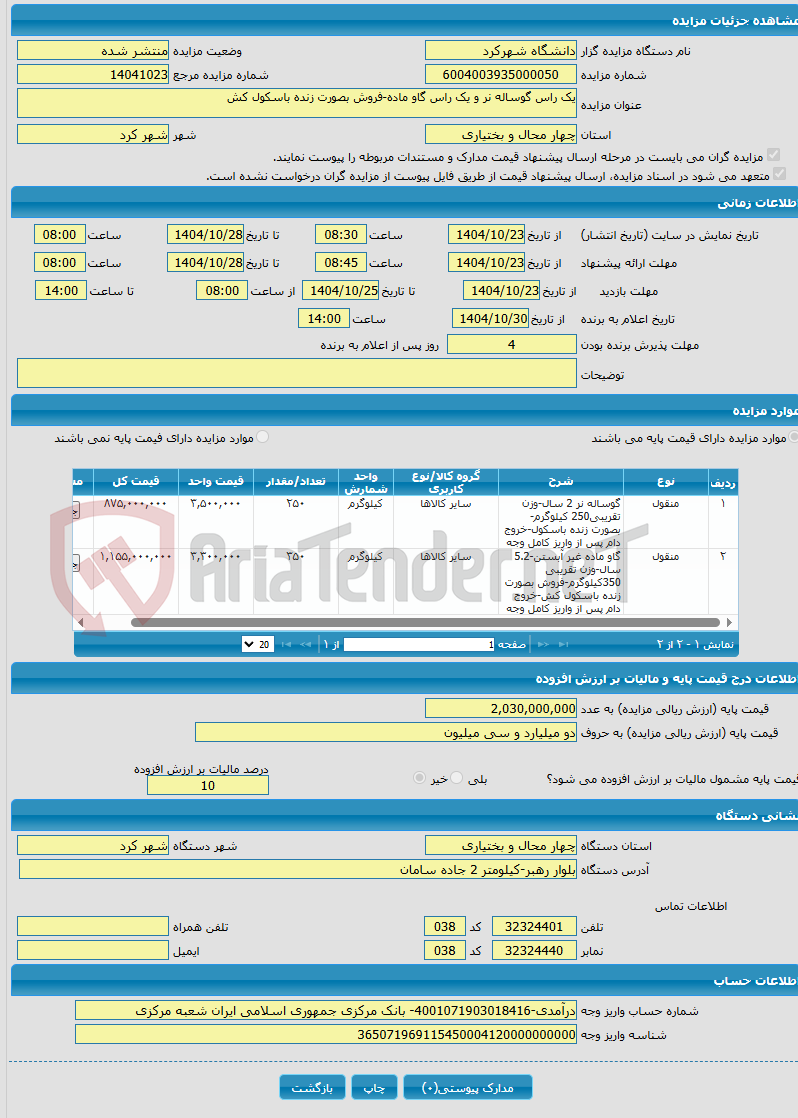 تصویر کوچک آگهی یک راس گوساله نر و یک راس گاو ماده-فروش بصورت زنده باسکول کش
