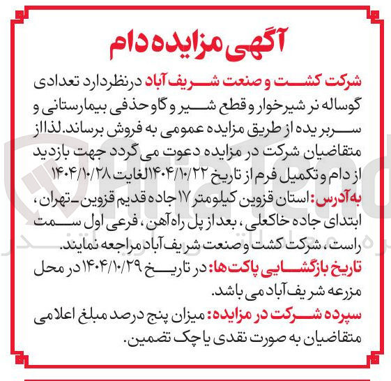 تصویر کوچک آگهی فروش تعدادی گوساله نر شیرخوار و قطع شیر و گاو حذفی بیمارستانی و سر بریده