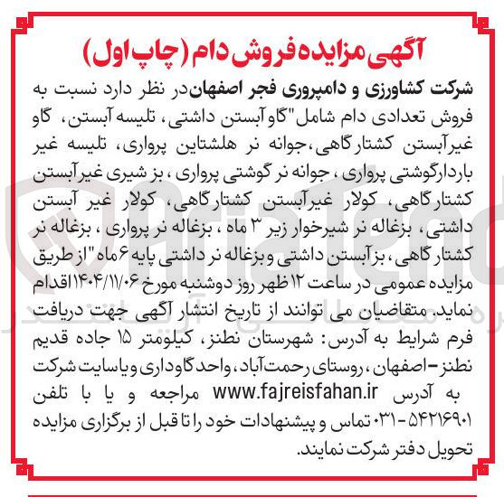 تصویر کوچک آگهی فروش تعدادی دام گاو آبستن تلیسه آبستن گاو غیر آبستن کشتارگاهی ، جوانه نر، تلیسه غیر باردار گوشتی، جوانه نر گوشتی پرواری ،بز شیری
، کولار غیر آبستن، بزغاله نر شیرخوار، بزغاله نر پروار، بزغاله نر کشتارگاهی، بز آبستن داشتی و بزغاله نر  داشتی