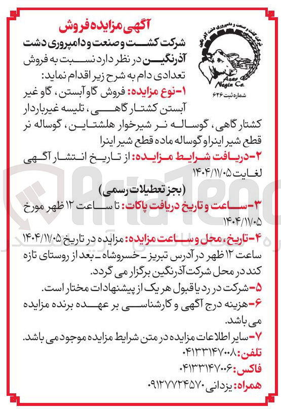 تصویر کوچک آگهی فروش گاو آبستن گاو غیر آبستن کشتارگاهی تلیسه غیر باردار کشتارگاهی گوساله نر شیرخوار هاشتاین گوساله نر قطع شیر اینراو گوساله ماده قطع شیر اینرا
