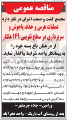 تصویر کوچک آگهی عملیات هرس و حذف پاجوش و سربرداری در سطح تقریبی ۱۴۹ هکتار از درختان باغ پسته