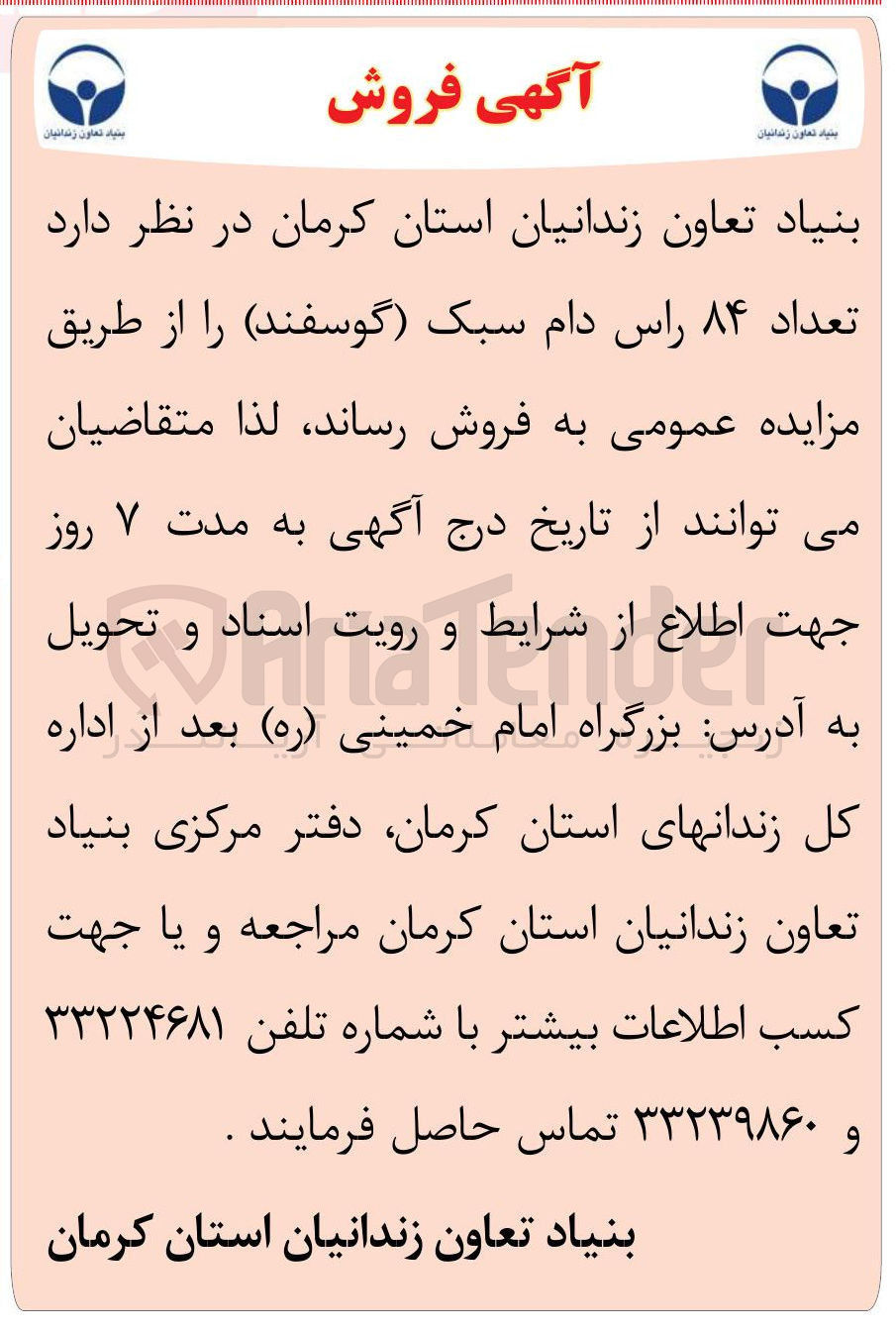 تصویر کوچک آگهی تعداد ۸۴ راس دام سبک گوسفند