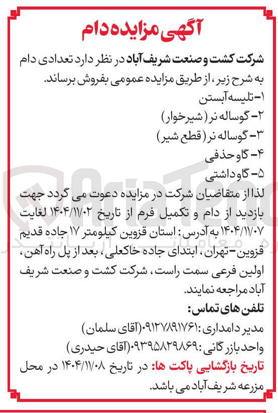 تصویر کوچک آگهی  گوساله نر قطع شیر)
