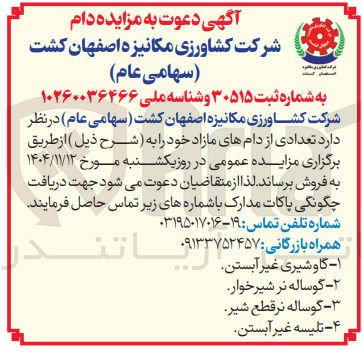 تصویر کوچک آگهی گاو شیری غیر آبستن