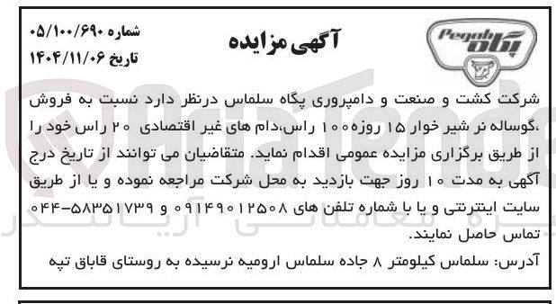 تصویر کوچک آگهی  فروش گوساله نر شیر خوار ۱۵ روزه ۱۰۰ راس دام های غیر اقتصادی ۲۰ راس خود