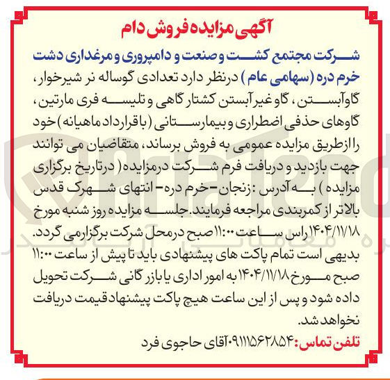 تصویر کوچک آگهی فروش تعدادی گوساله نر شیرخوار گاو آبستن ، گاو غیر آبستن کشتارگاهی و تلیسه فری مارتین گاوهای حذفی اضطراری و بیمارستانی