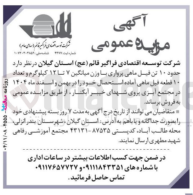 تصویر کوچک آگهی حدود ۱۰ تن فیل ماهی پرواری با وزن میانگین ۷ تا ۱۲ کیلوگرم و تعداد ۱۰ قطعه فیل ماهی آماده استحصال