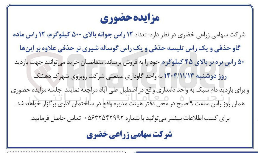 تصویر کوچک آگهی فروش تعداد ۱۲ راس جوانه بالای ۵۰۰ کیلوگرم ۱۲ راس ماده گاو حذفی و یک راس تلیسه حذفی و یک راس گوساله شیری نر حذفی علاوه بر اینها ۵۰ راس بره نر بالای ۴۵ کیلوگرم