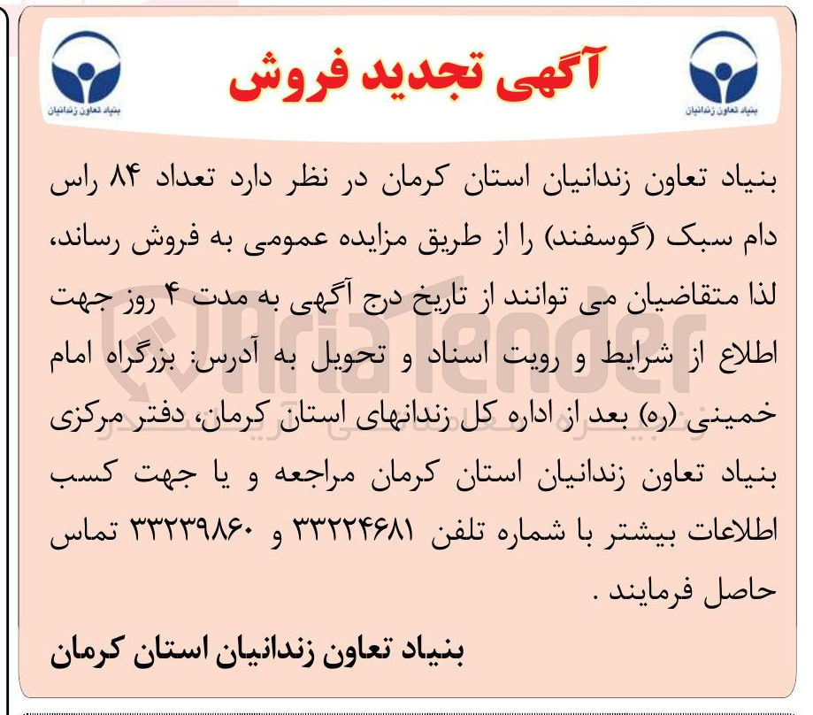 تصویر کوچک آگهی تعداد ۸۴ راس دام سبک ( گوسفند 