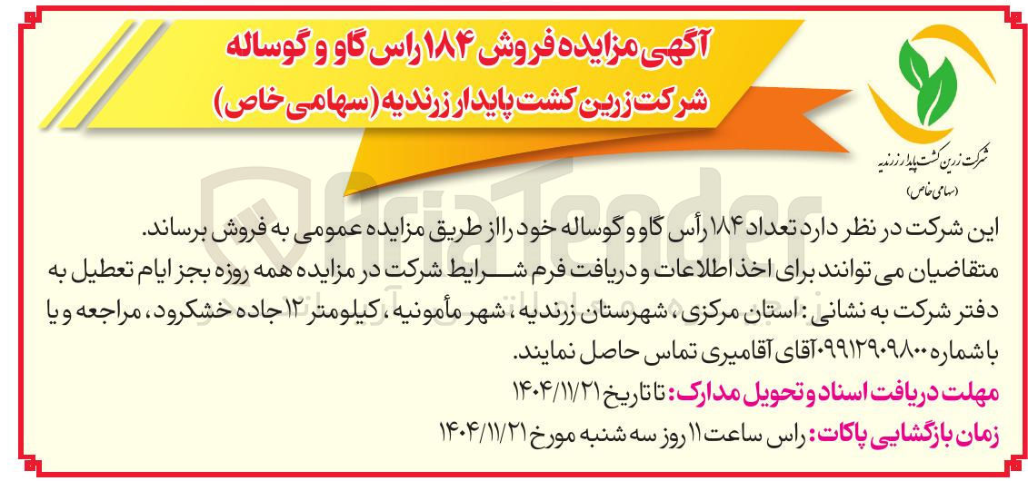 تصویر کوچک آگهی فروش ۱۸۴ راس گاو و گوساله 