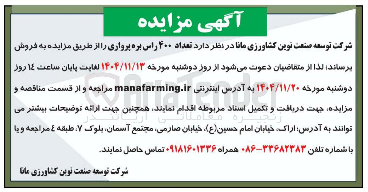 تصویر کوچک آگهی تعداد ۴۰۰ راس بره پرواری
