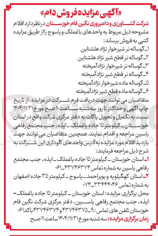 تصویر کوچک آگهی فروش دام