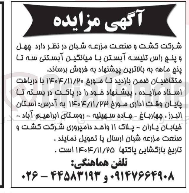 تصویر کوچک آگهی فروش چهل و پنج راس تلیسه آبستن با میانگین آبستنی سه تا پنج ماهه 