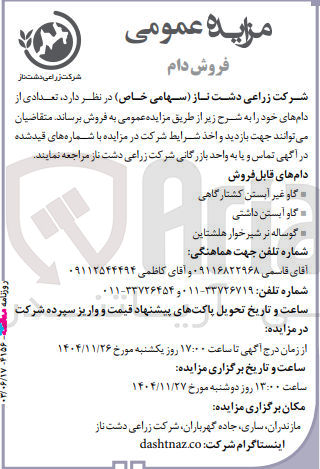 تصویر کوچک آگهی گاو آبستن داشتی 
