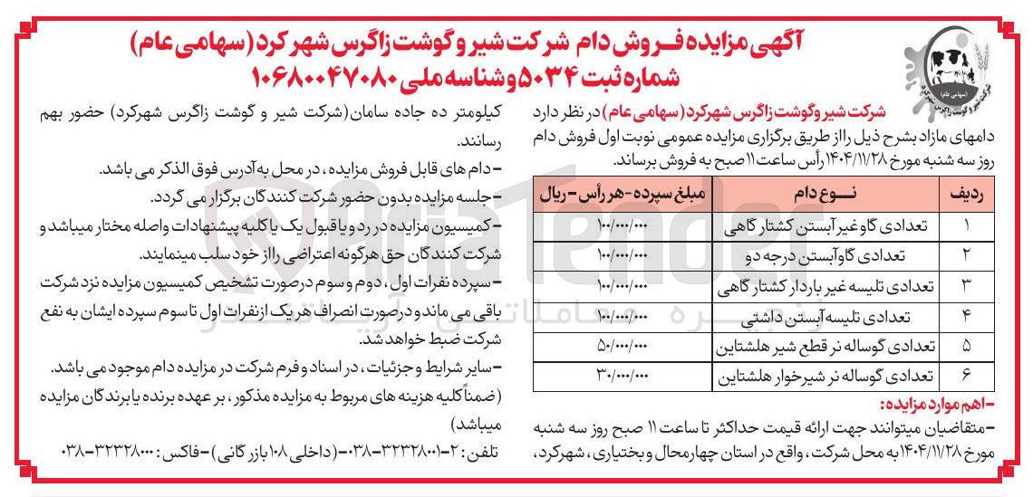 تصویر کوچک آگهی تعدادی گاو آبستن درجه دو