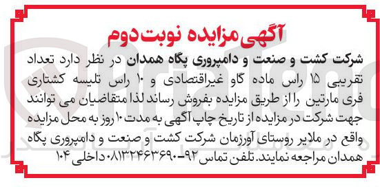 تصویر کوچک آگهی د تعداد تقریبی ۱۵ راس ماده گاو غیر اقتصادی و ۱۰ راس تلیسه کشتاری فری مارتین 