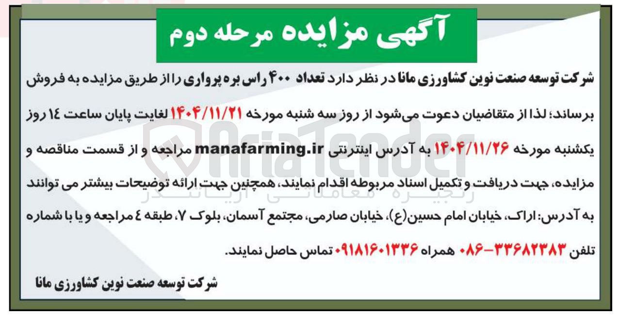 تصویر کوچک آگهی فروش تعداد ۴۰۰ راس بره پرواری 