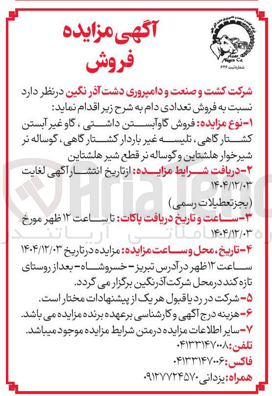 تصویر کوچک آگهی فروش گاو آبستن داشتی ، گاو غیر آبستن کشتارگاهی ، تلیسه غیر باردار کشتارگاهی ، گوساله نر شیرخوار هلشتاین و گوساله نر قطع شیر هلشتاین