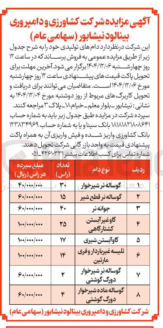 تصویر کوچک آگهی گوساله ماده شیرخوار دورگ گوشتی