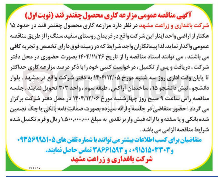 تصویر کوچک آگهی  مزارعه کاری محصول چغندر قند در حدود ۱۵ 
هکتار از اراضی
