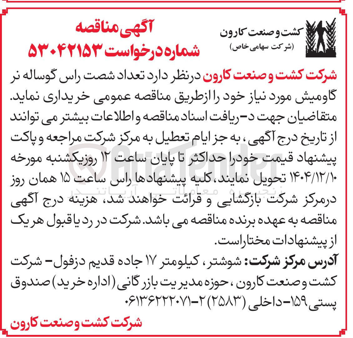 تصویر کوچک آگهی خرید تعداد شصت راس گوساله نر گاومیش 