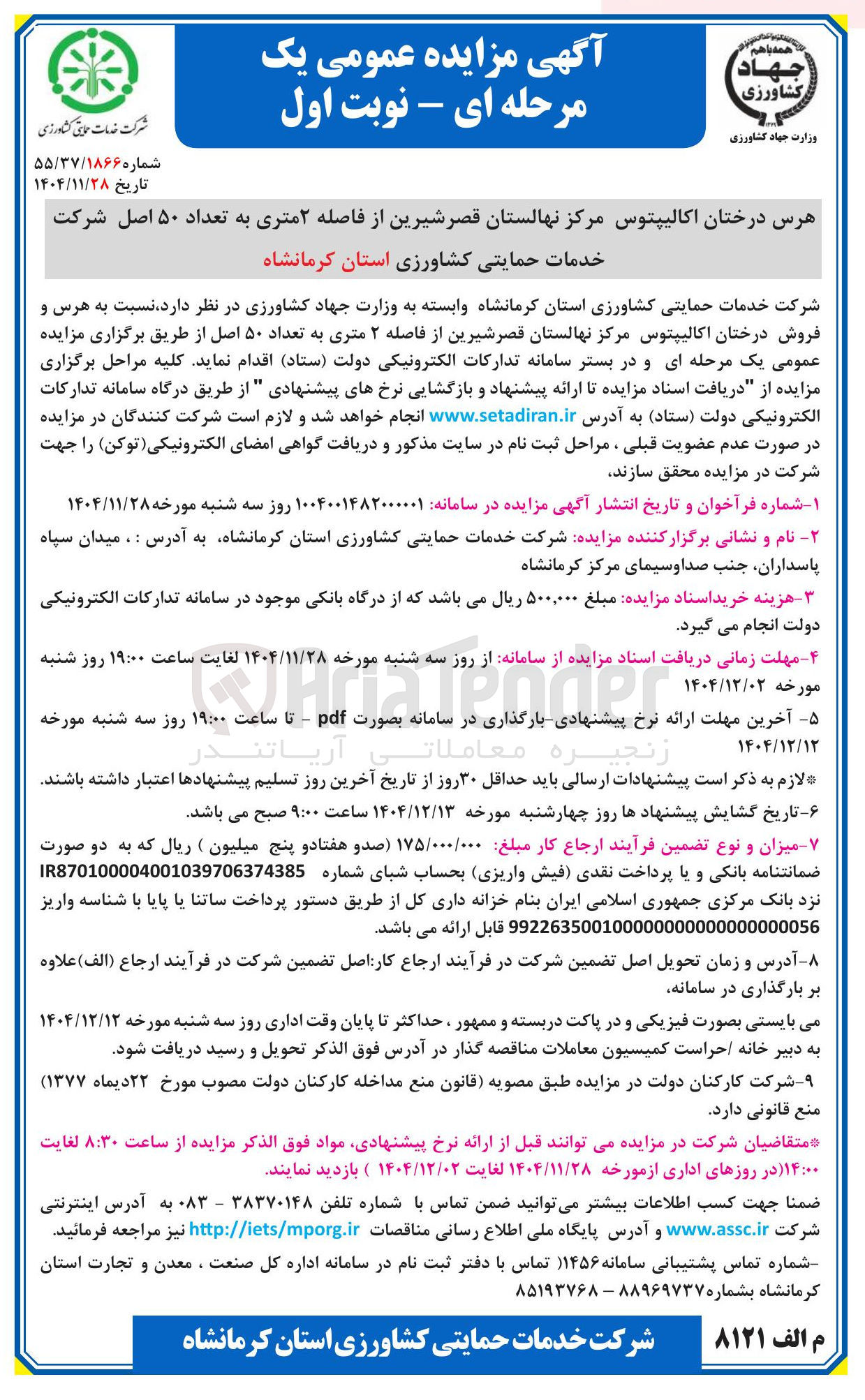 تصویر کوچک آگهی هرس درختان اکالیپتوس