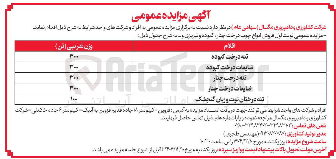 تصویر کوچک آگهی فروش انواع چوب درخت چنار کبوده و تبریزی و ...