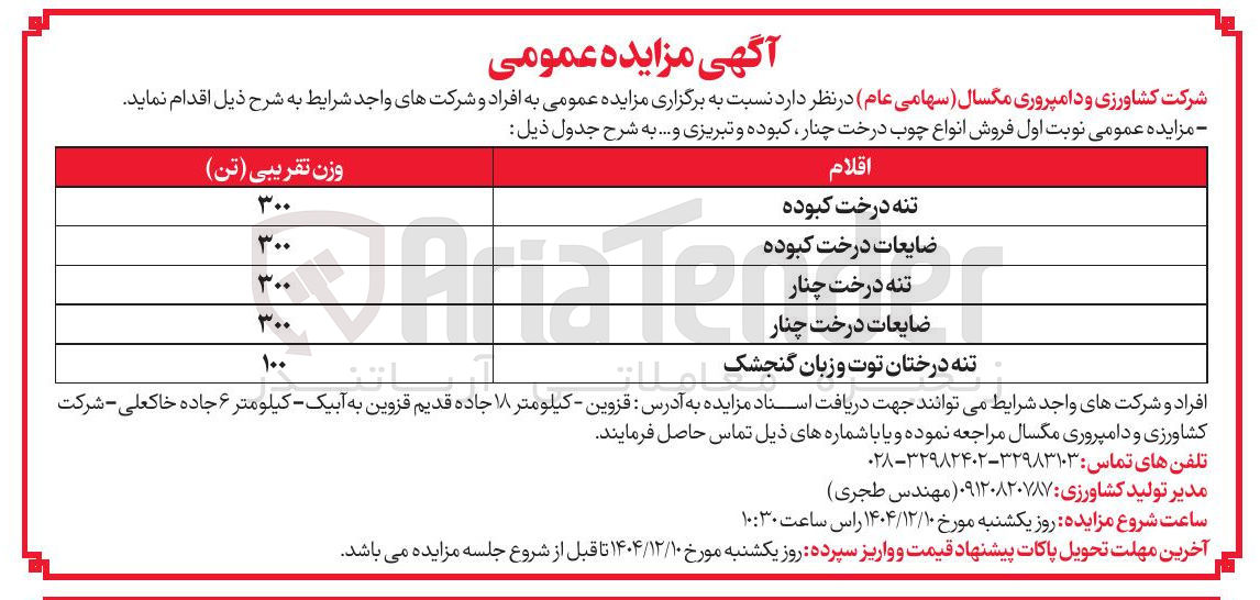 تصویر کوچک آگهی فروش انواع چوب درخت چنار، کبوده و تبریزی و ...
