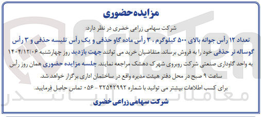 تصویر کوچک آگهی تعداد ۱۲ رأس جوانه بالای ۵۰۰ کیلوگرم ۳ رأس ماده گاو حذفی و یک رأس تلیسه حذفی و ۳ رأس گوساله نر حذفی